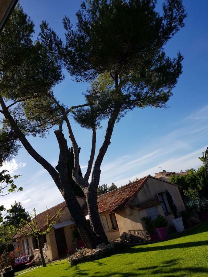 A L'Oree Du Pin Acomodação com café da manhã Aix-en-Provence Exterior foto